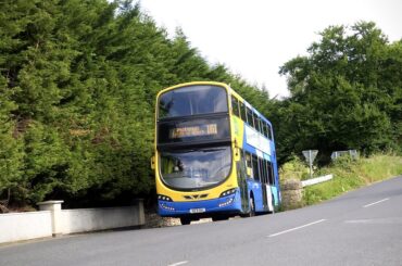 Tibradden bus