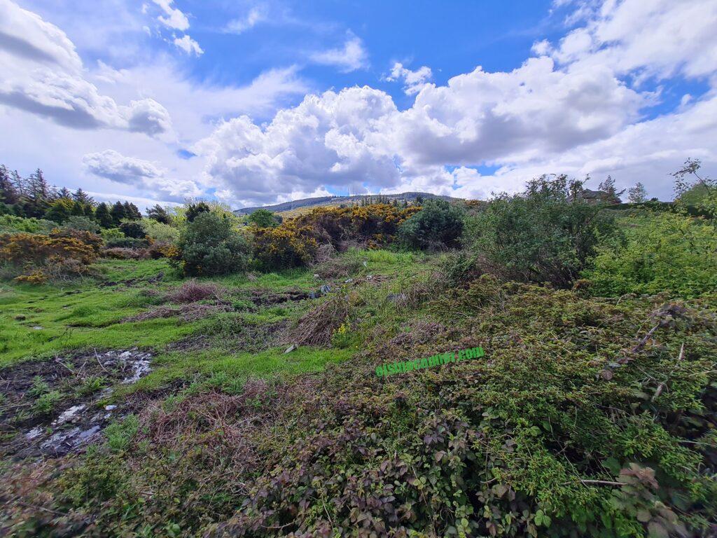 View of Blackglen Road Woodside Road site of a planning application that was rejected