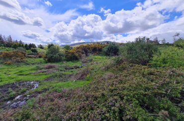 View of Blackglen Road Woodside Road site of a planning application that was rejected