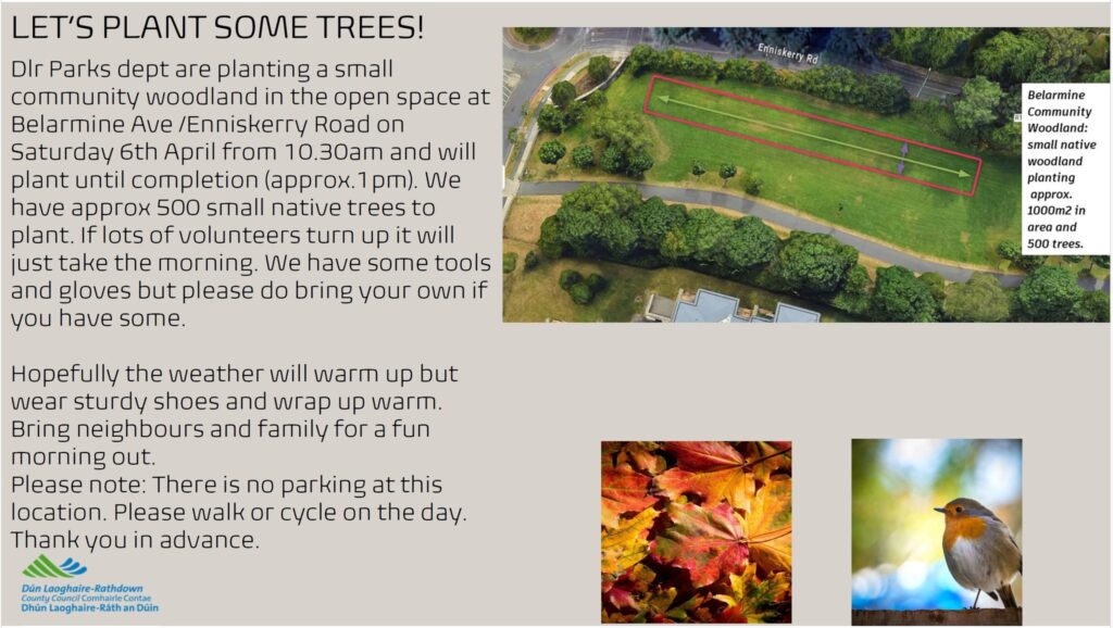 LET'S PLANT SOME TREES! Belarmine Community Woodland: small native woodland planting approx. 1000m2 in area and 500 trees. DLR Parks dept are planting a small community woodland in the open space at Belarmine Ave/Enniskerry Road on Saturday 6th April from 10.30am and will plant until completion (approx. 1 pm). We have approx 500 small native trees to plant. If lots of volunteers turn up it will just take the morning. We have some tools and gloves but please do bring your own if you have some. Hopefully the weather will warm up but wear sturdy shoes and wrap up warm. Bring neighbours and family for a fun morning out. Please note: There is no parking at this location. Please walk or cycle on the day. Thank you in advance.
